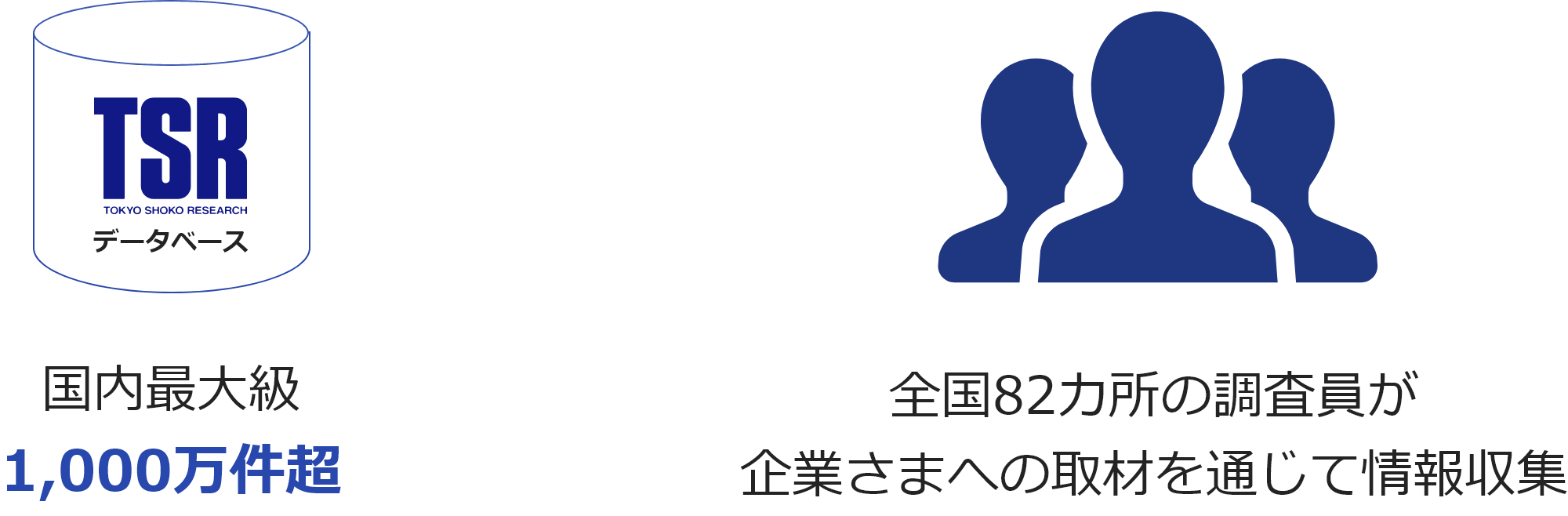 TSRの企業情報とは？