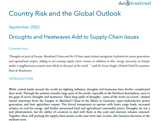 D&B Monthly Report/Global Outlook