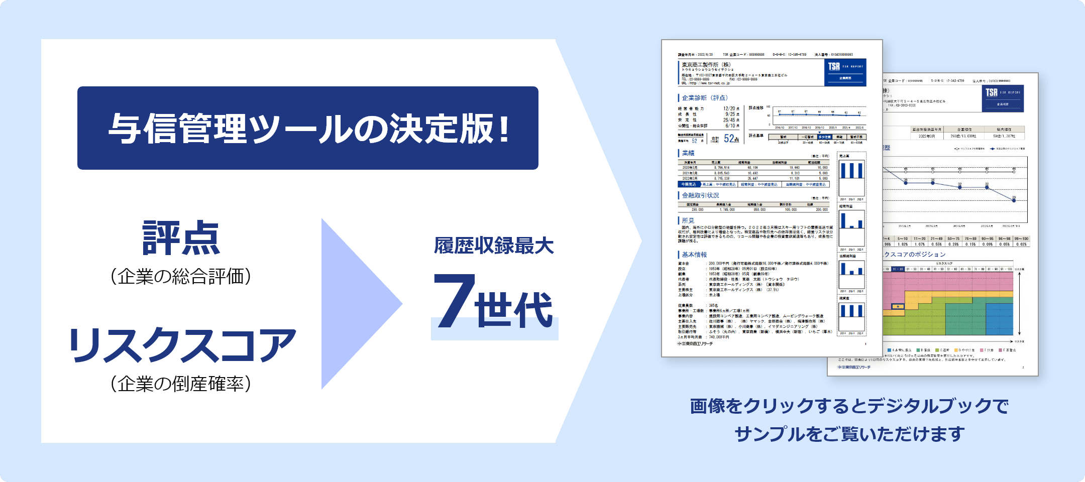 国内企業調査レポート（TSR REPORT）