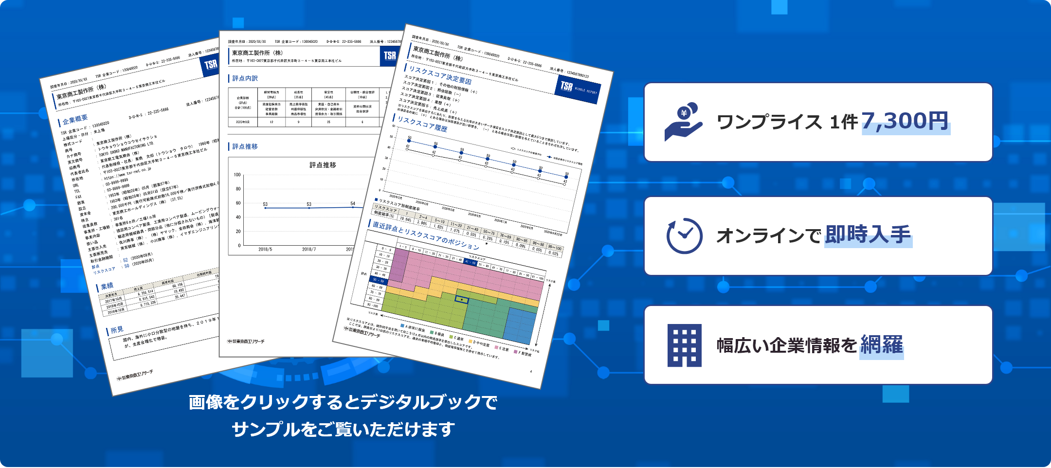 ミドルレポート（国内企業調査レポート）