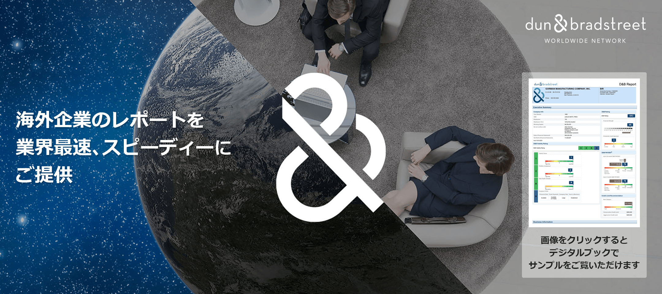 海外企業調査レポート（ダンレポート）