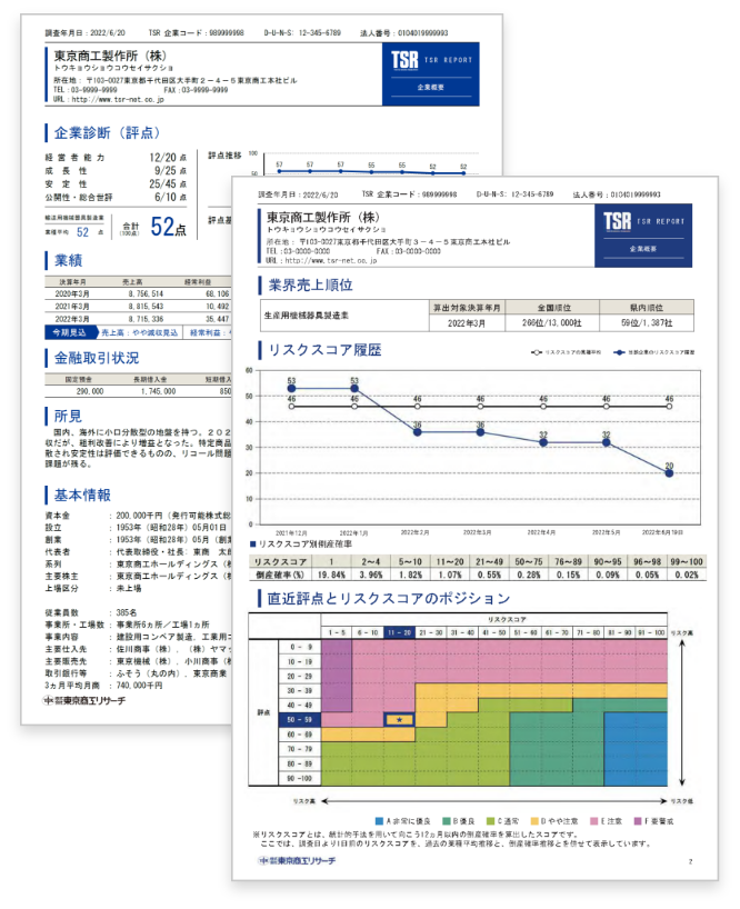 サンプルレポート画像