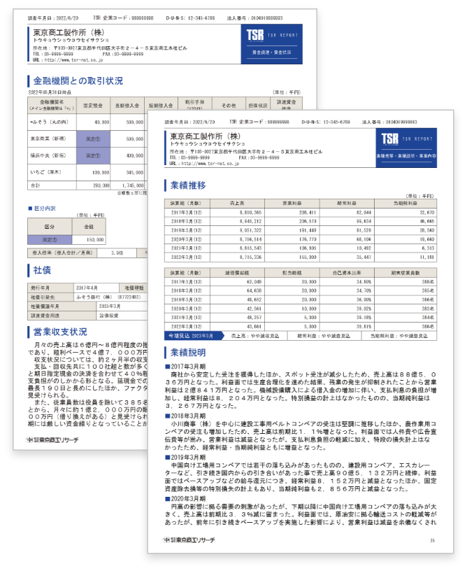 サンプルレポート画像